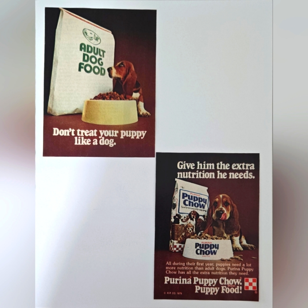 1980 Purina Puppy Chow Dog Food Ad - Don't Treat Your Puppy Like A Dog